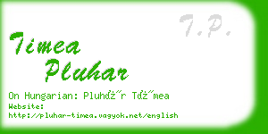 timea pluhar business card